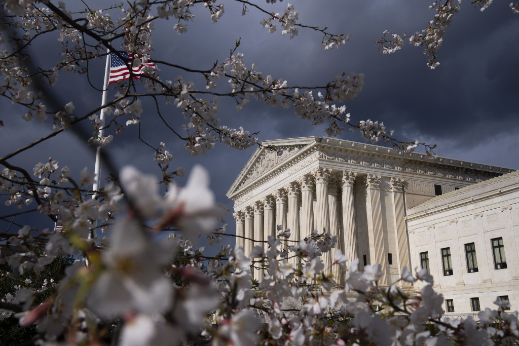 A cherry tree in bloom near the U.S. Supreme Court in Washington, D.C.